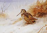 Winter Woodcock by Archibald Thorburn